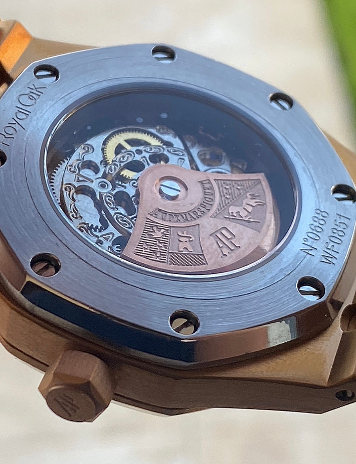 AP ROyal Oak Rainbow - رويال اوك رينبو مصنع كلون
