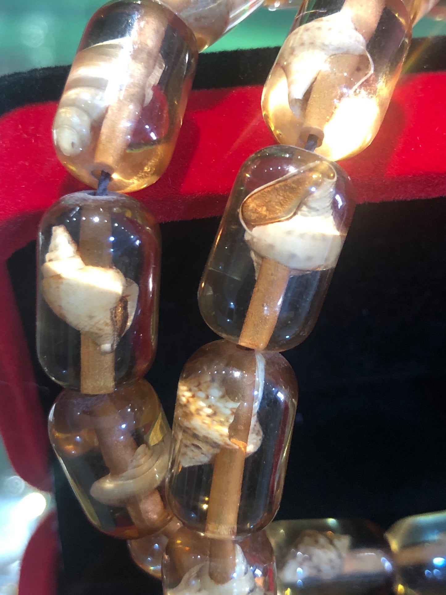 سبحه حجر تراب سندلوس بداخلها حلزون حقيقي